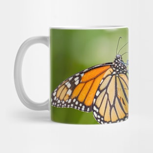 Monarch's Majesty. Mug